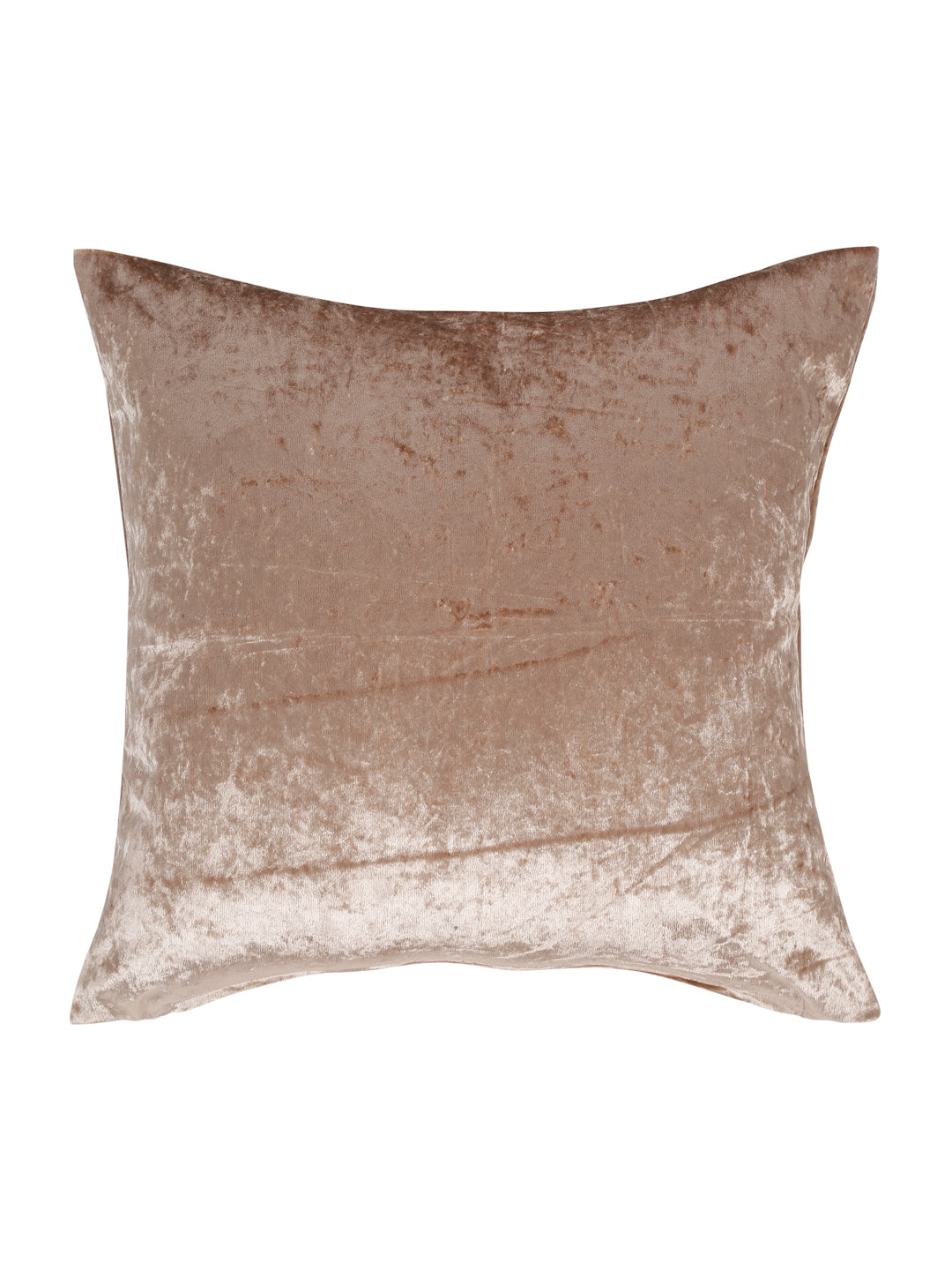 Eyda Gold Velvet Solid Cushion Cover Set of 2