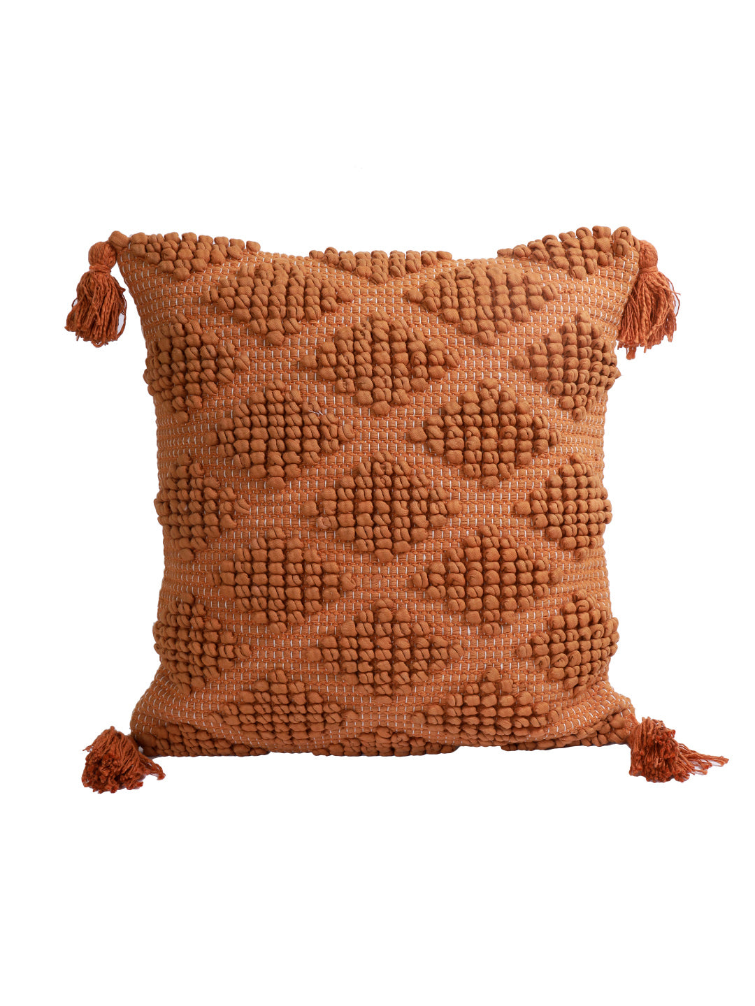Eyda Set of 2 Cotton Rust Cushion Cover 18x18 inch