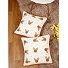 Embroidered  16X16 Cushion Cover Set of 2