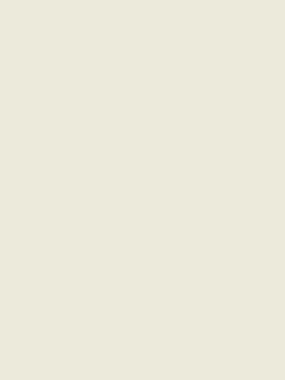 Eyda Premium Velvet Ivory Color Eyelet Door Curtain- 1 Pc